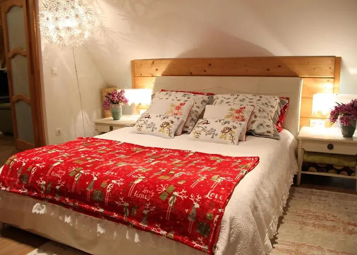 Tatry - Chamerion 1 * Zakopane